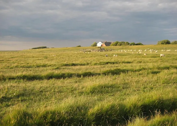 Hof Rickelsbuell - Nordseeurlaub Auf Dem Biobauernhof