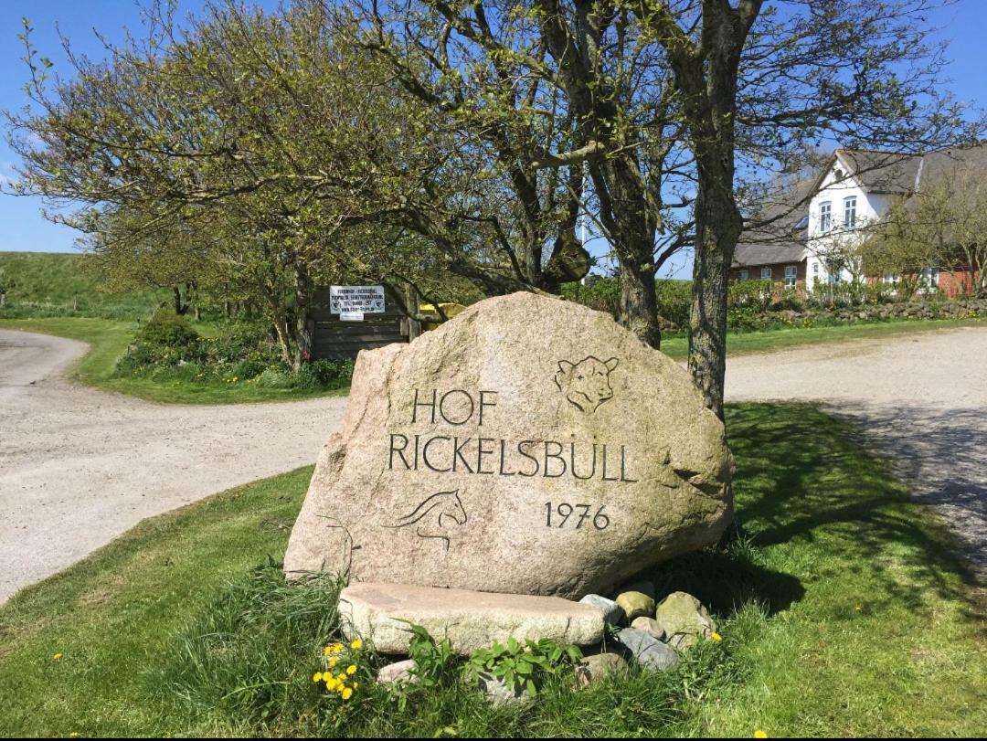 Apartment Hof Rickelsbuell - Nordseeurlaub Auf Dem Biobauernhof