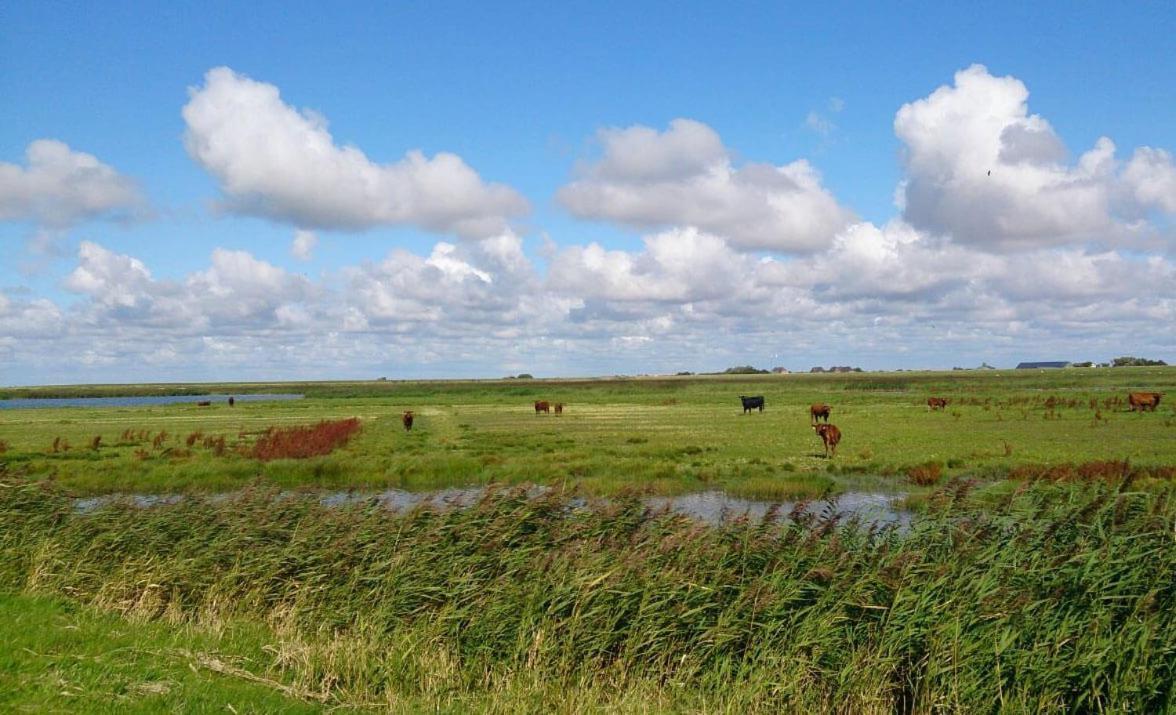 Hof Rickelsbuell - Nordseeurlaub Auf Dem Biobauernhof * Rodenäs
