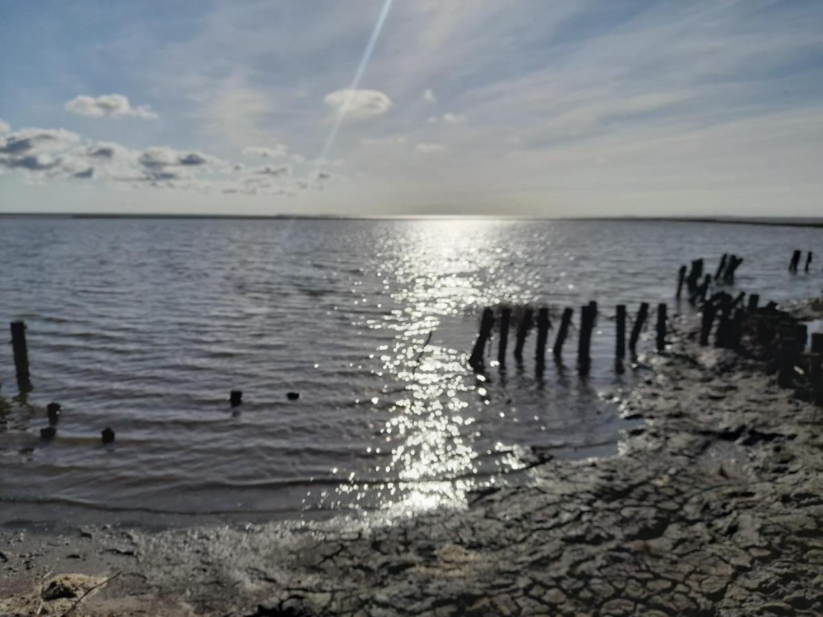 Hof Rickelsbuell - Nordseeurlaub Auf Dem Biobauernhof Apartment *